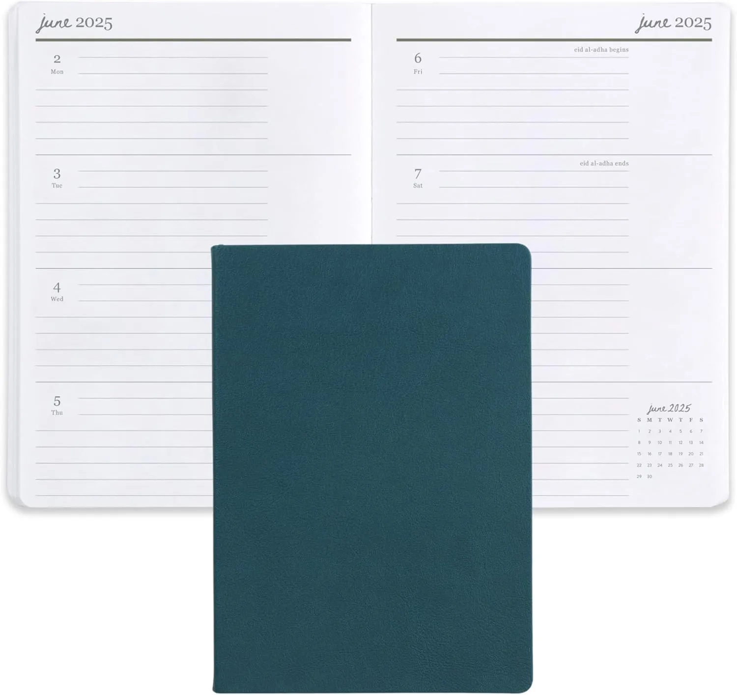 Erin Condren 2025 Softbound Life Planner (Jan - Dec 2025), A5 12-Month Weekly & Monthly Planner Journal, Horizontal Layout, Soft Cover, Layflat Binding, Peacock Cover & Bold Blooms Interior