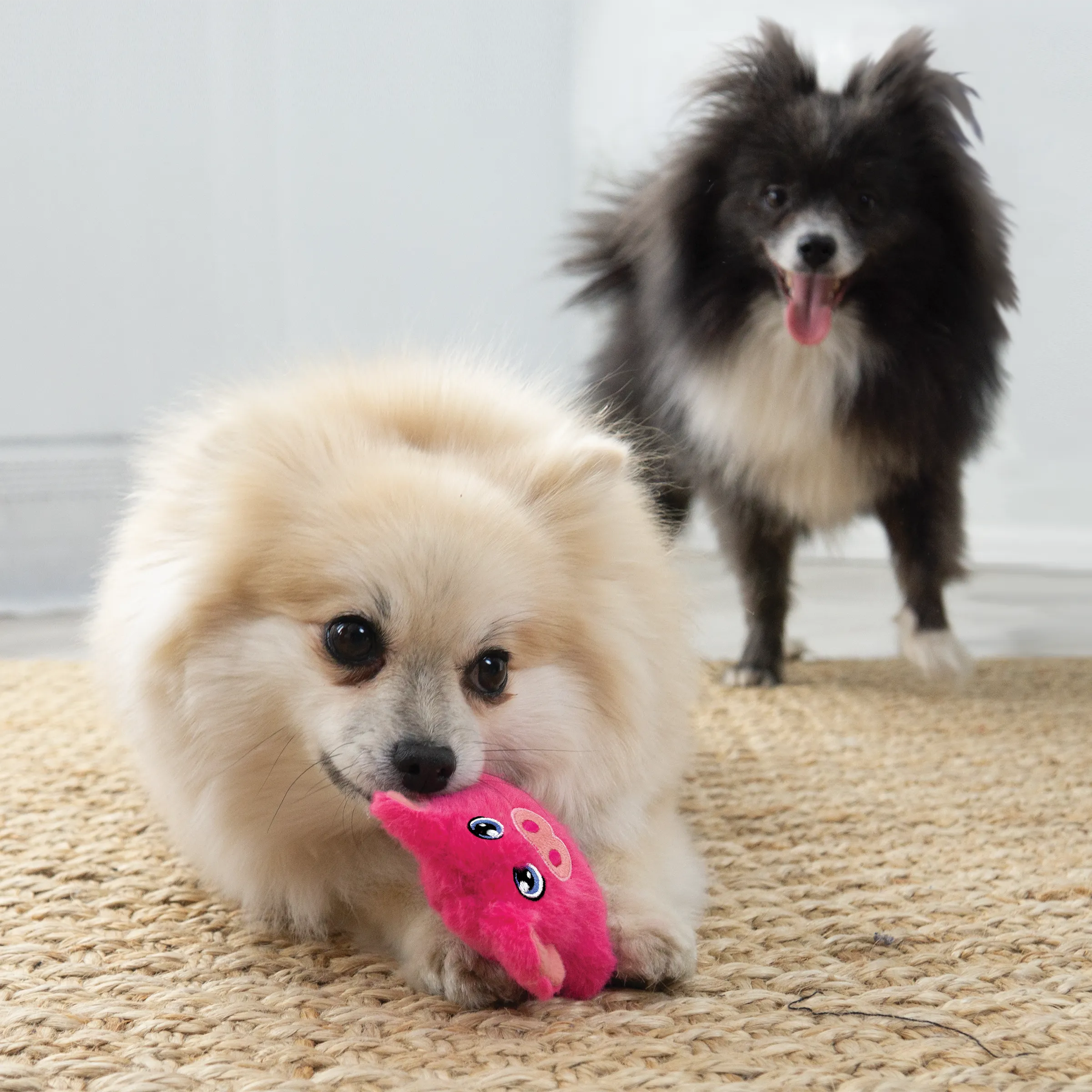 Kong Snuzzles XS Mini Pig
