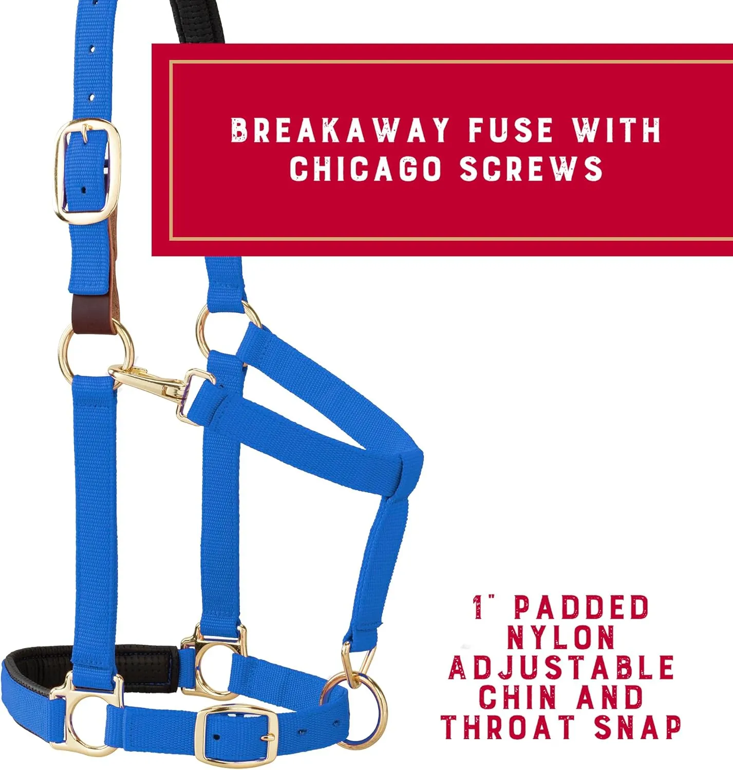 Weaver Equine Breakaway Horse Halter, Comfort Foam Padding, Adjustable Chin & Throat Snap Halters for Horses, Equine Tack,Average Size