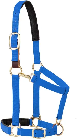 Weaver Equine Breakaway Horse Halter, Comfort Foam Padding, Adjustable Chin & Throat Snap Halters for Horses, Equine Tack,Average Size