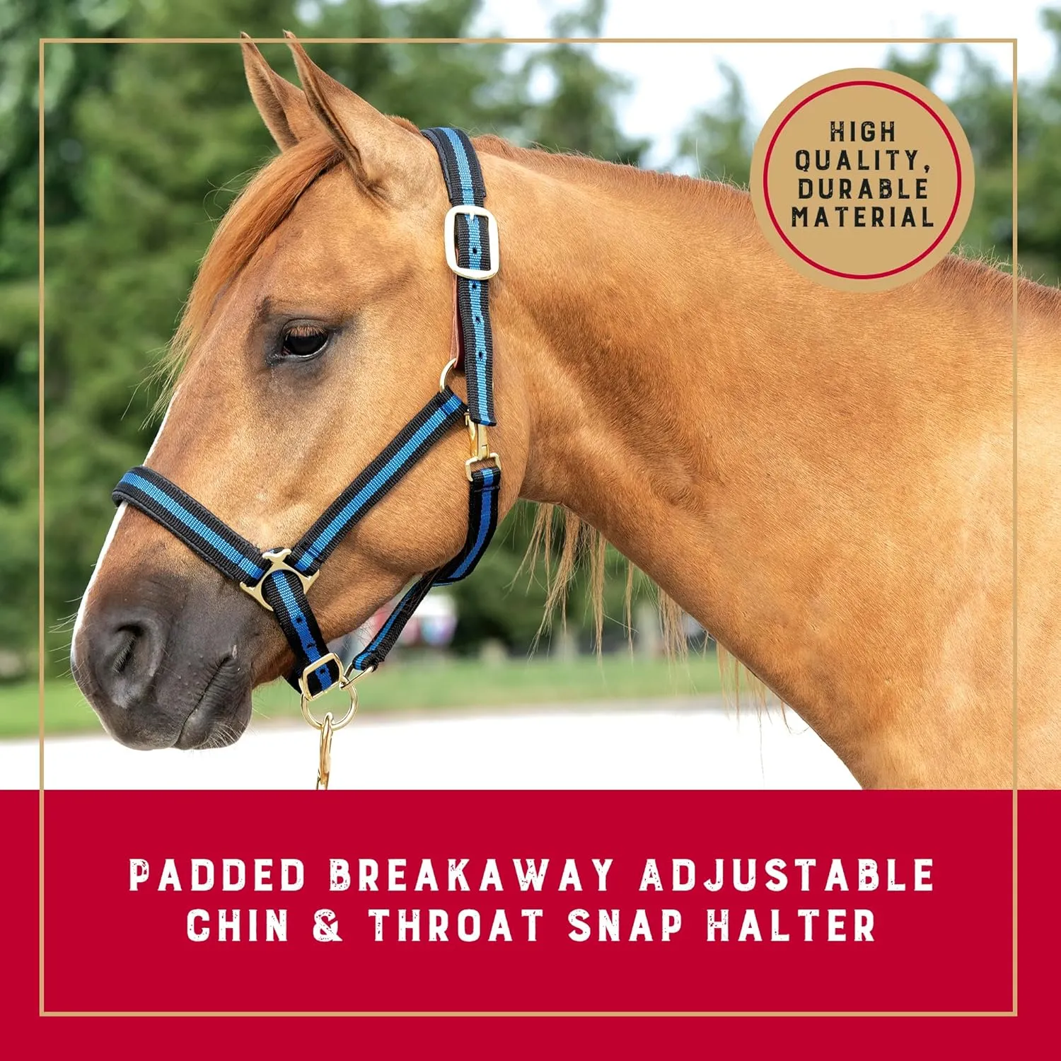 Weaver Equine Breakaway Horse Halter, Comfort Foam Padding, Adjustable Chin & Throat Snap Halters for Horses, Equine Tack,Average Size