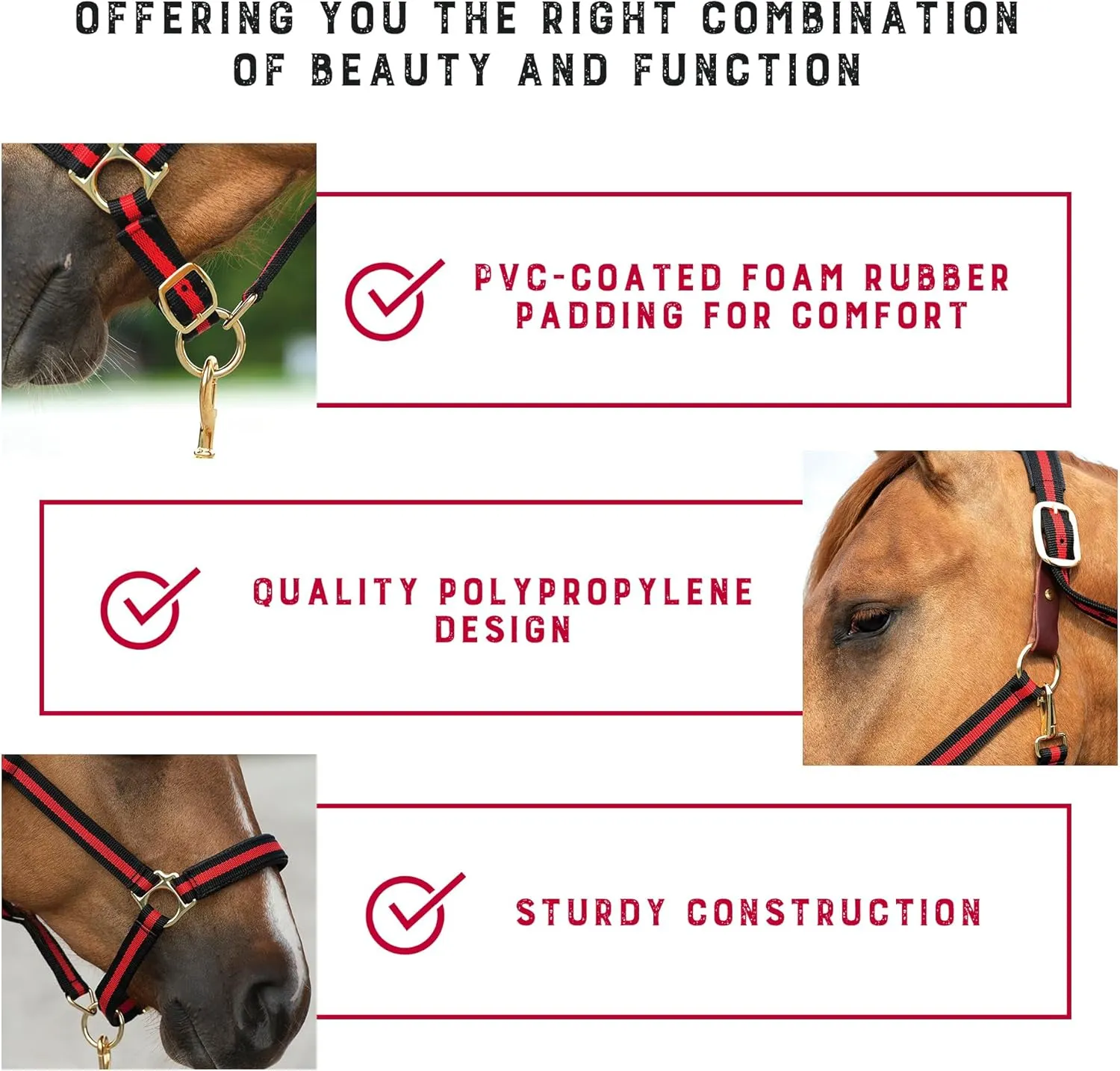 Weaver Equine Breakaway Horse Halter, Comfort Foam Padding, Adjustable Chin & Throat Snap Halters for Horses, Equine Tack,Average Size