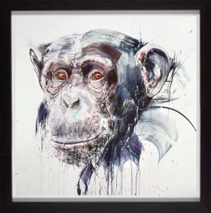 Wise II