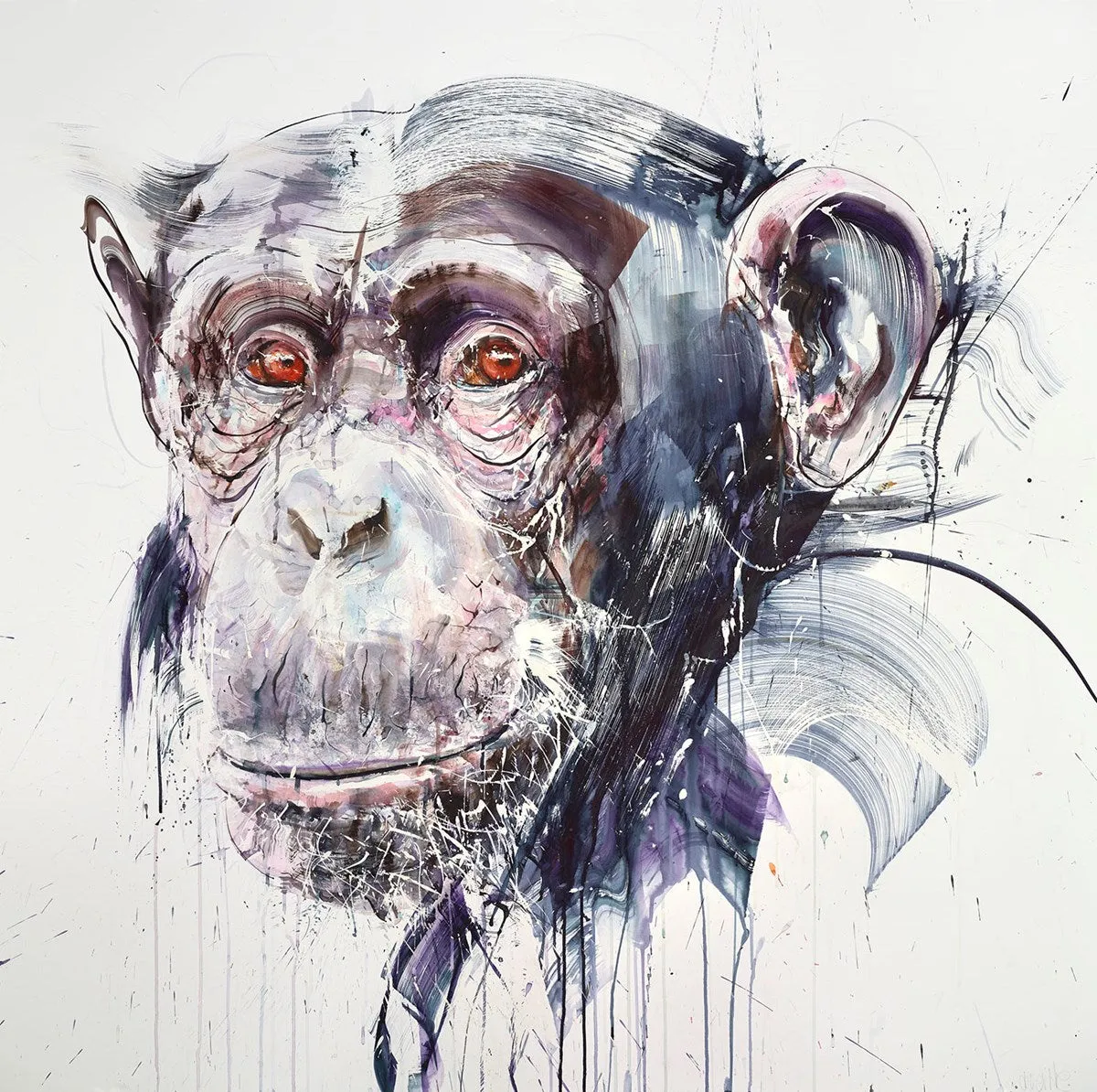 Wise II