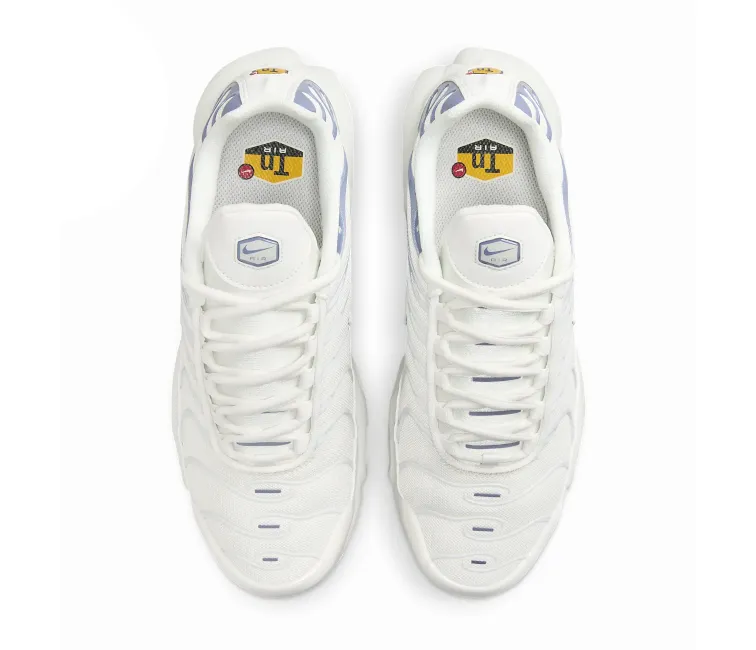 Women's Nike Air Max Plus TN (Ashen Slate)